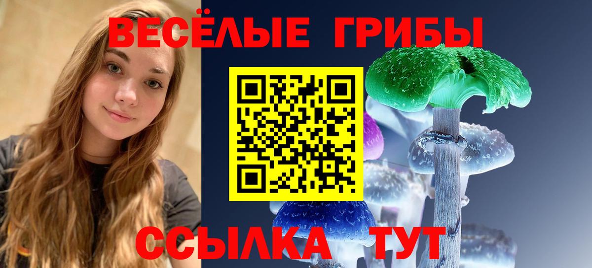 Псилоцибиновые грибы ЛСД  Галлюциногенные грибы MAGIC MUSHROOMS  Вход с VPN  Абинск 